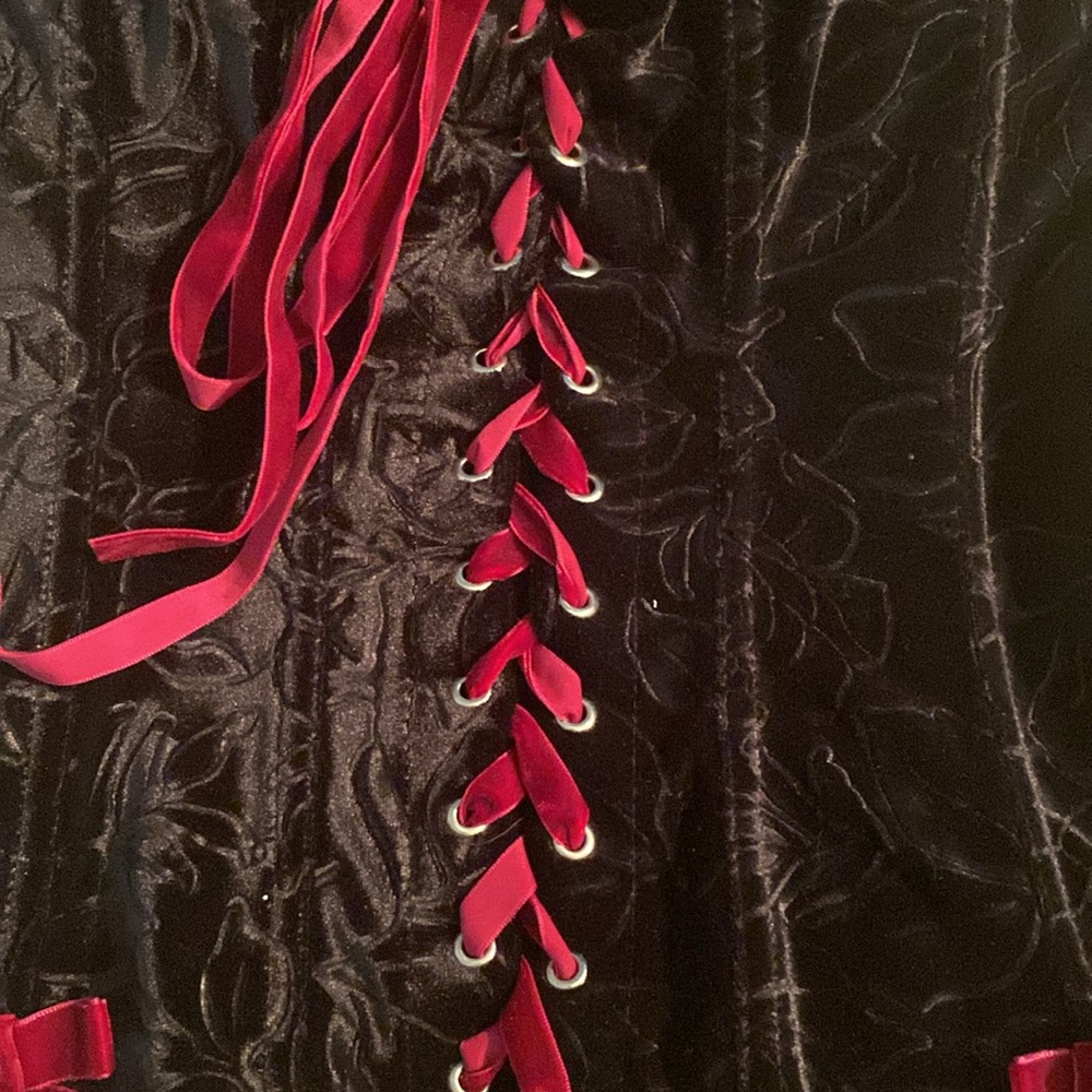 Lovers lane brand velvet corset. Back hooks and push up bra inside - Picture 4 of 15